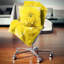 Coussin jaune fleur de chrysanthème jaune-29896379-29892912