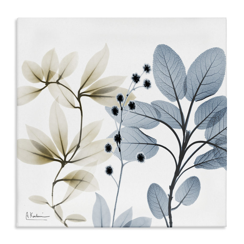 "Modern Herb Sprigs On Canvas" par Albert Koetsier, impression, H 24 po x l 24 po x P 1,5 po