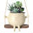 Ellerey Hanging Planter