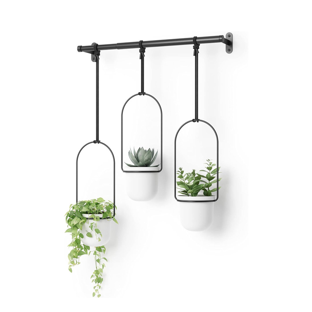 Tri-Flora Wall Décor