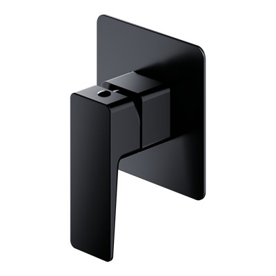 Elvin Single Concealed Shower Valve