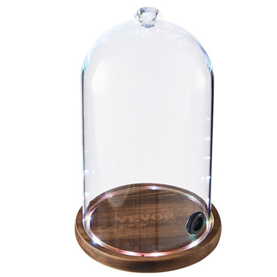 Cloche Or Water Globe