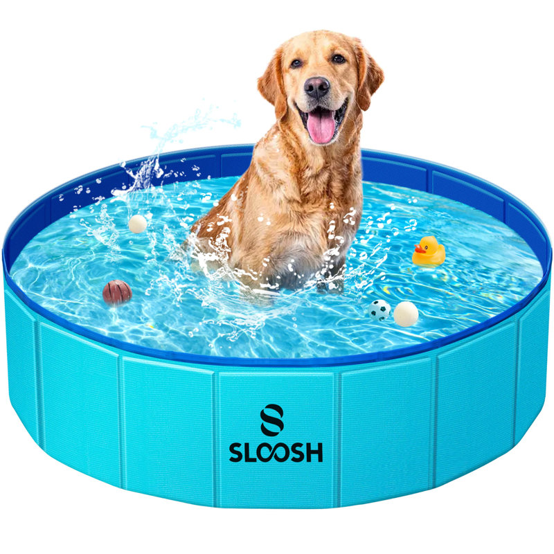 Bassin pliable pour chien, L 32 po x l 32 po x H 8 po, Bleu