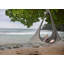 Beachmont Hanging Chair-1425773515