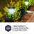 Low Voltage Battery Powered Integrated LED Pathway Light Pack