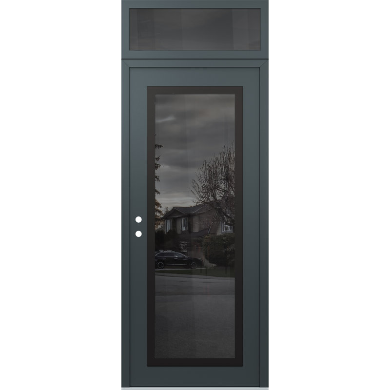 Porte d'entrée avant h1 panneau en acier noir anthracite / anthracite avec traverse, Oui, Miroitant
