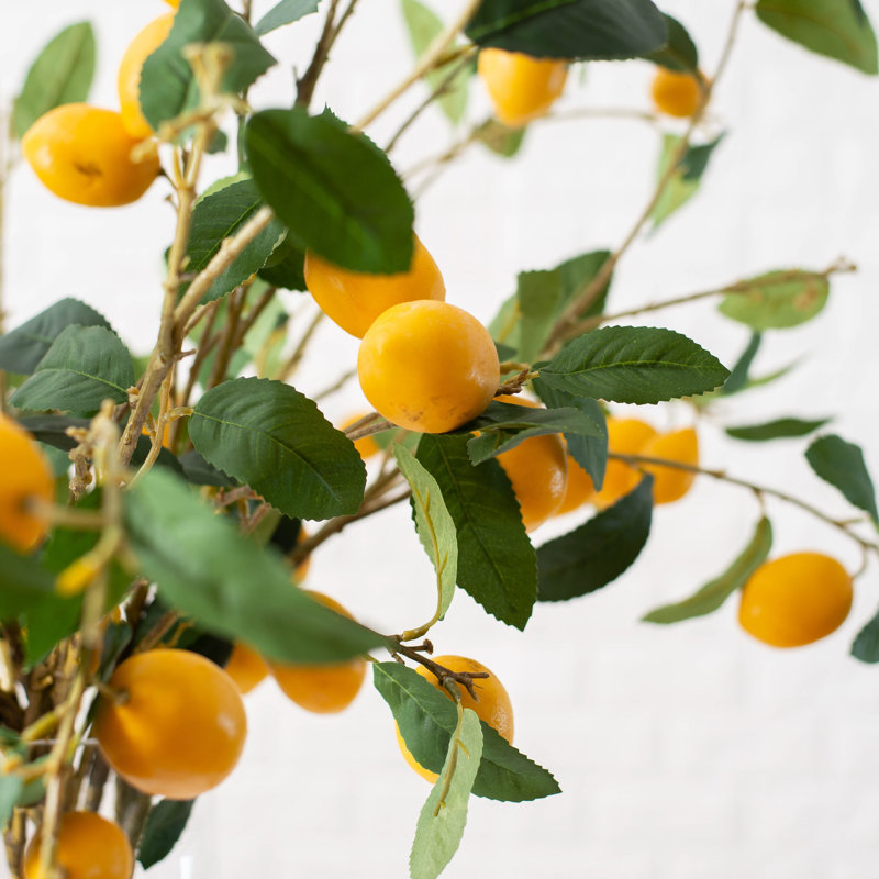 Centres de table citron dans un vase