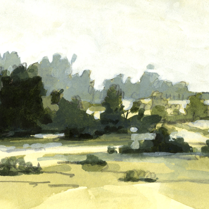 Bright Marshland I by Emma Caroline - Wrapped Canvas Print, 30.48cm H x 30.48cm W