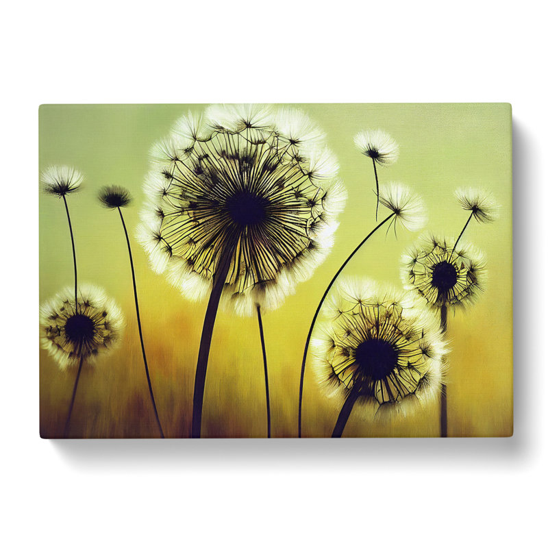 Terrific Dandelion Flowers - Wrapped Canvas Print, 35cm H x 50cm W x 3cm D