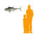 Bluefin Tuna Fish Wall Decor Statue