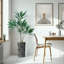 66 plantes-97701520