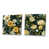 Toile tendue
