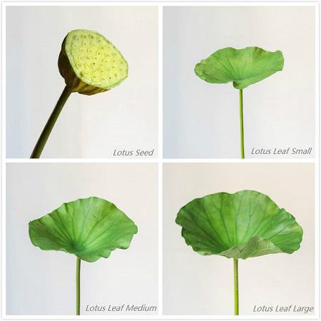 Arrangement, Lotus Leaf Large