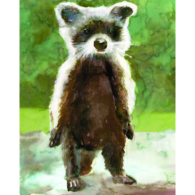 " Baby Racoon "
