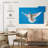 White Dove Flying-729504504