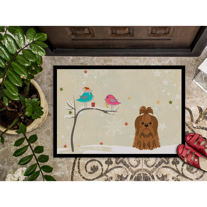 Tapis d'extérieur antidérapant Cih, Rectangle 2 pi x 3 pi, Chocolat