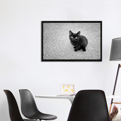 Just A Baby by Ben Heine - Print on Canvas