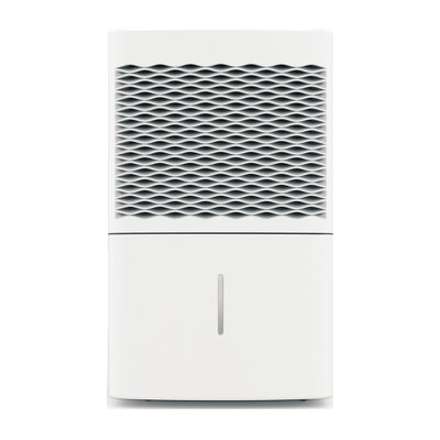 Déshumidificateur 33,12 pinte Ecohouzng