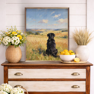 Sunny Day Lab