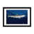 Black Framed Fine Art Paper is unavailable