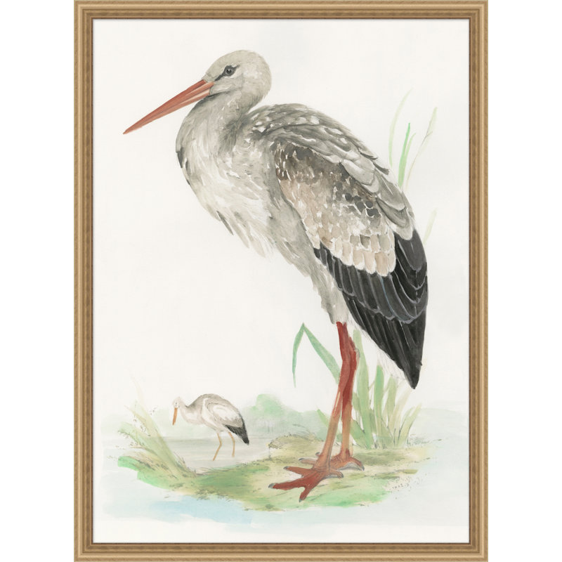 Waterbird 2 Print