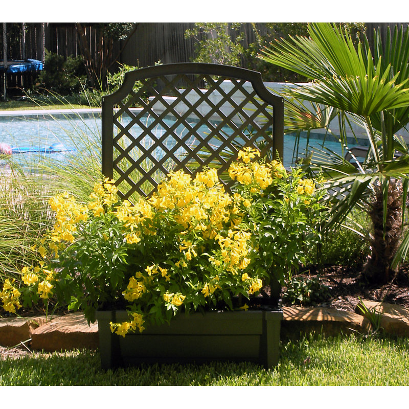 Brandun Planter Box with Trellis, Anthracite
