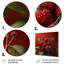 Fruits, juteuse framboise Delight III - fruits, art mural en métal-1618698608