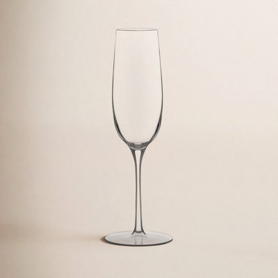 Signature-Kentfield Champagne Flute Glasses