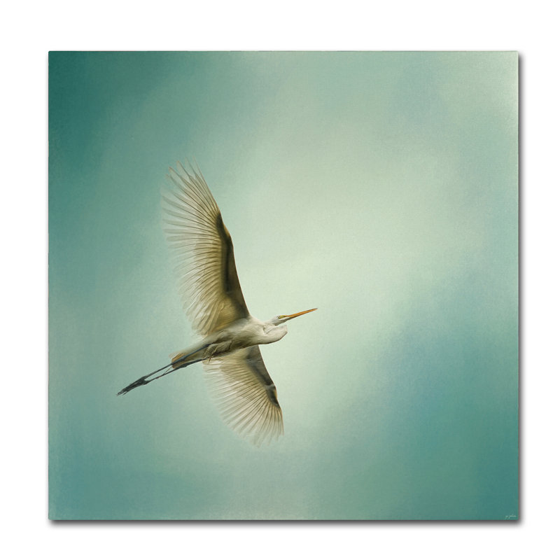 «Egret Overhead» de Vidur, impression sur toile tendue, H 35 po x l 35 po
