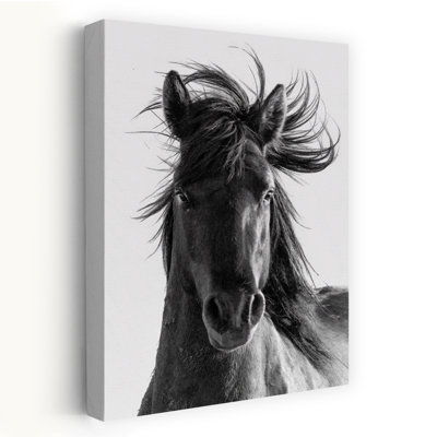 Art contemporain cheval sauvage