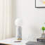 Lampe de bureau Roshanta