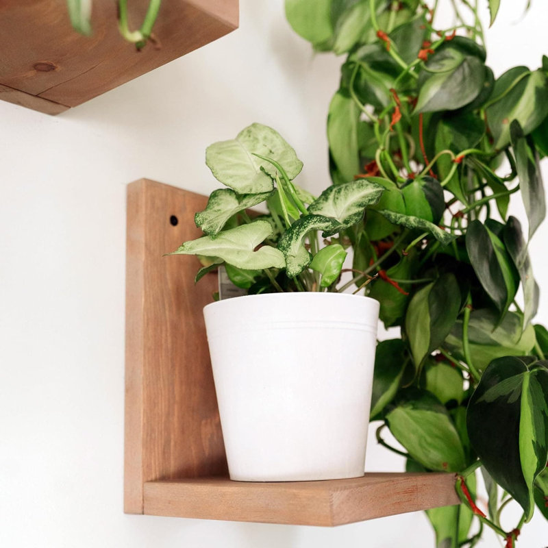 Mid-Century Modern Floating Shelves 3-Pack | Solid Wood L-Shaped Plant Ledges | Wall Mounted Display Shelves For Home Decor