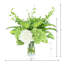 Hortensias Real-Touch disposés avec verdure mixte