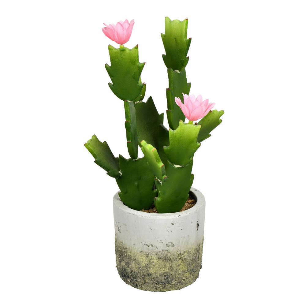 Cactus finto POTOSI, verde, 20cm