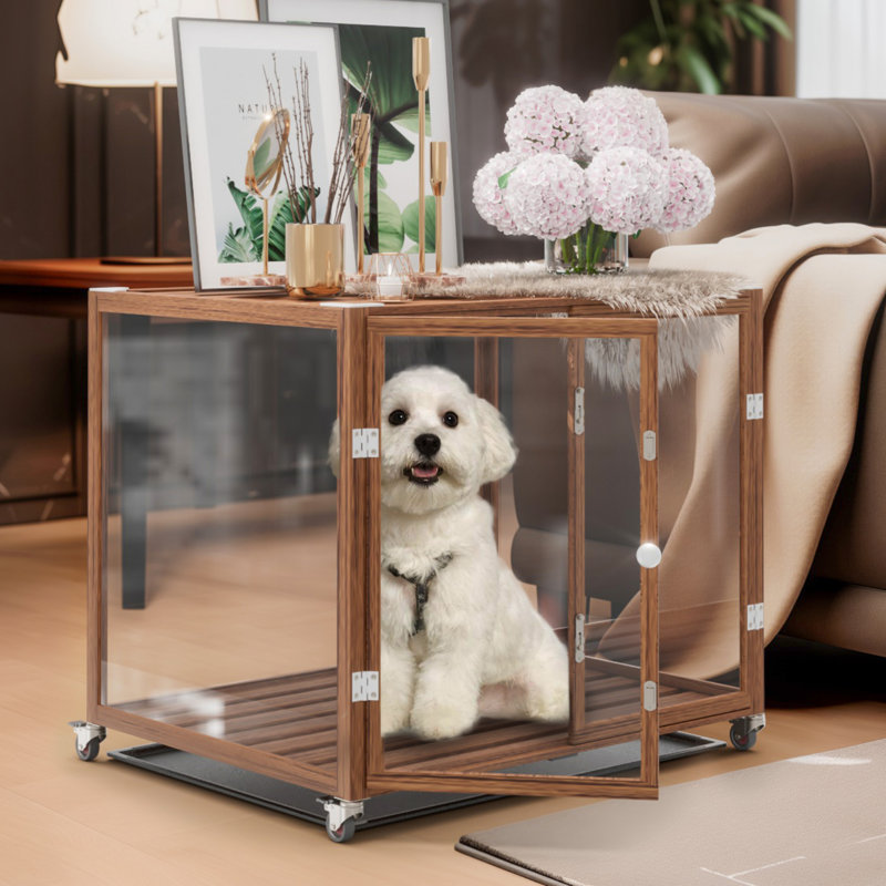 Chenil pour animaux en verre trempé innovant, Moyen (H 26 po x l 30 po x P 23 po), Brun