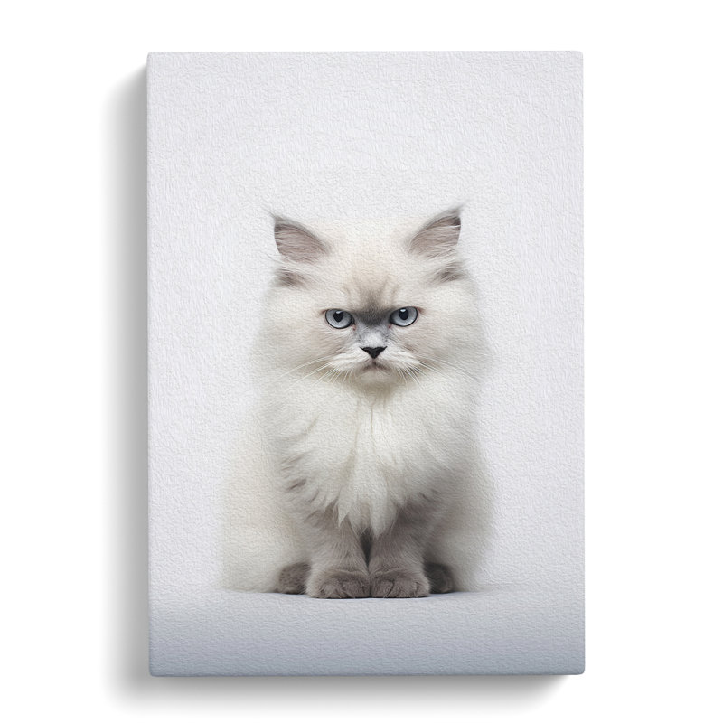 Ragdoll Cat Minimalism No.2 - Print, 60cm H x 40cm W x 3cm D