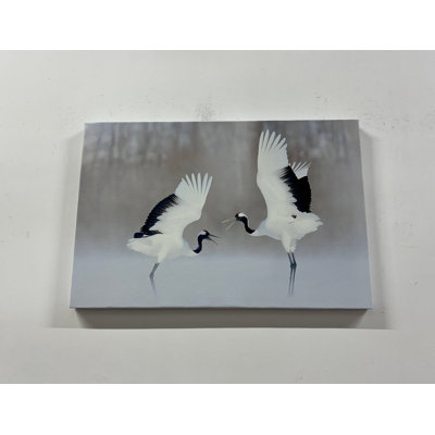 Print on Canvas