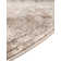 Cantey Oriental Indoor Rug