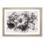 Geranium Flower - Picture Frame Painting Print-56735864-56735865
