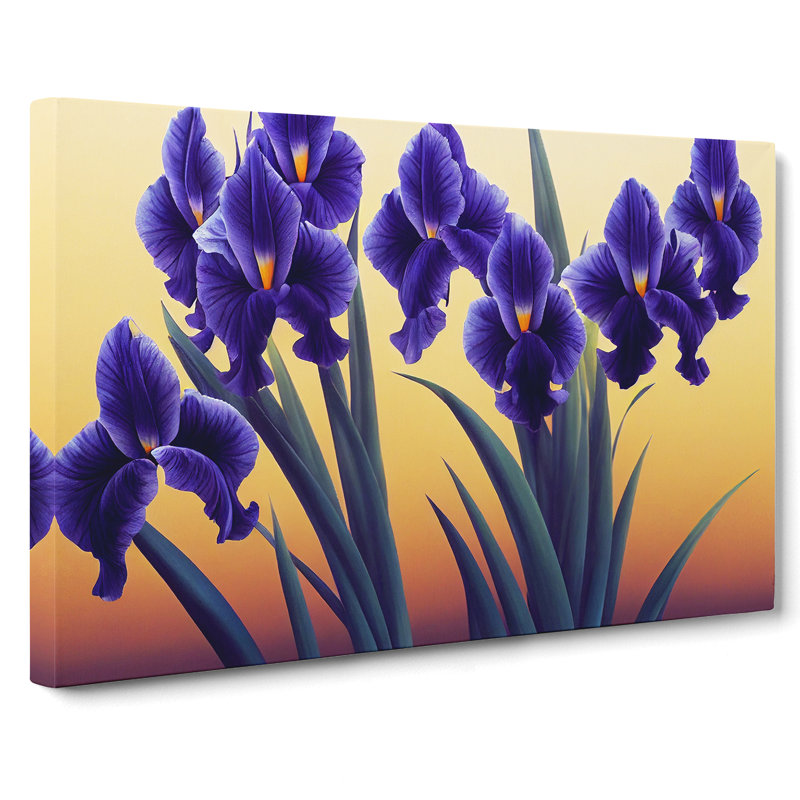 Excellent Iris Flowers - Wrapped Canvas, 50cm H x 76cm W x 3cm D