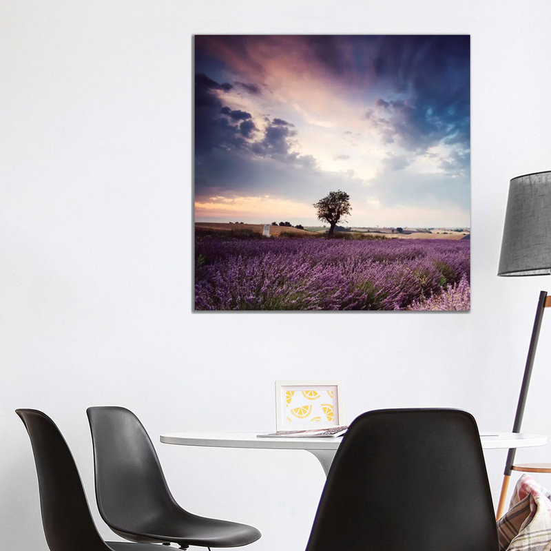 Tree In Lavender Field, Provence by Matteo Colombo - Wrapped Canvas Print, 93.98 cm H x 93.98 cm W x 1.91 cm D