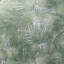 Feuilles de palmier tropicales 3-d