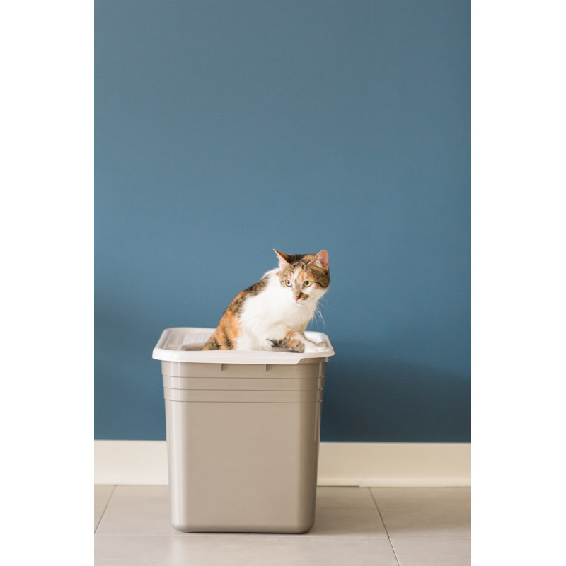 Gray and White Plastic Top Entry Cat Litter Box