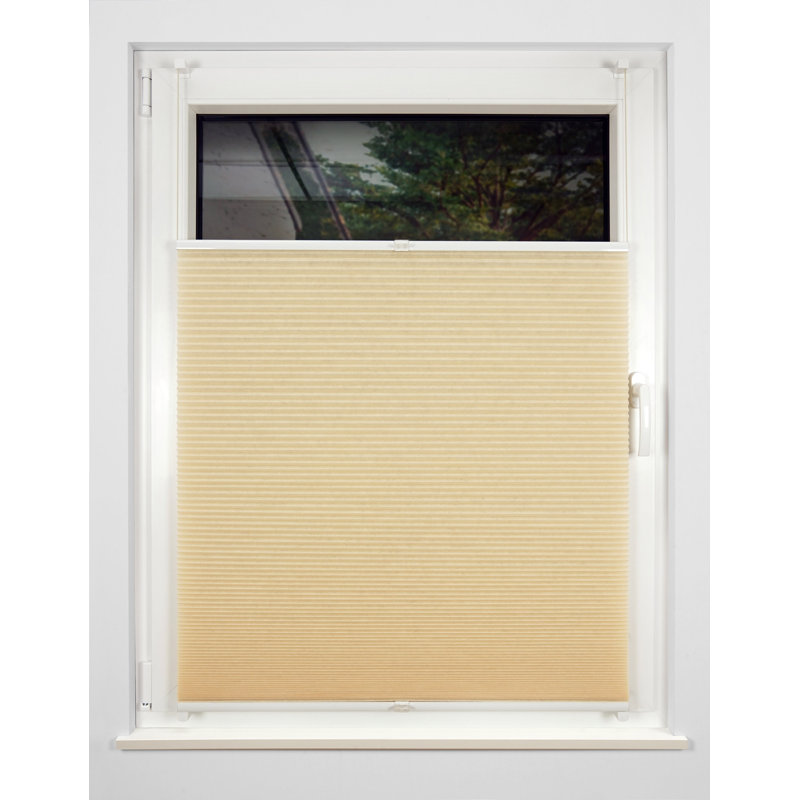 Pure Blackout Honeycomb Pleated Blind, Cream, 60 cm W x 130 cm H