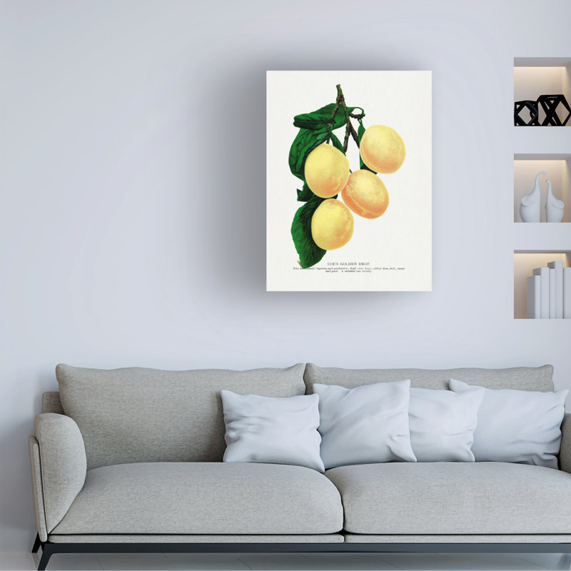 Art sur toile, bolognaise, cochon, H 19 po x l 14 po