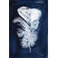 Indigo Feathers II Print by Barclay Butera-30726360-30726361