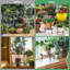 Plant Stand