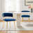 Christal 2 Piece Tufted Velvet Curved Weaved Back with Metal Legs Side Dining Chair Set-1350105840
