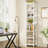 Bookcase-1131192285