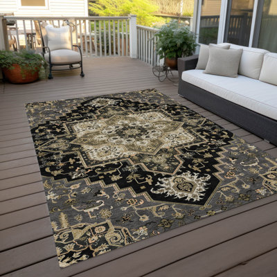 Machine Washable Indoor/Outdoor Chayden ACN1036 Rug